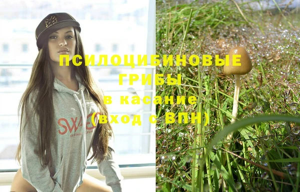 соль курить ск Верхний Тагил