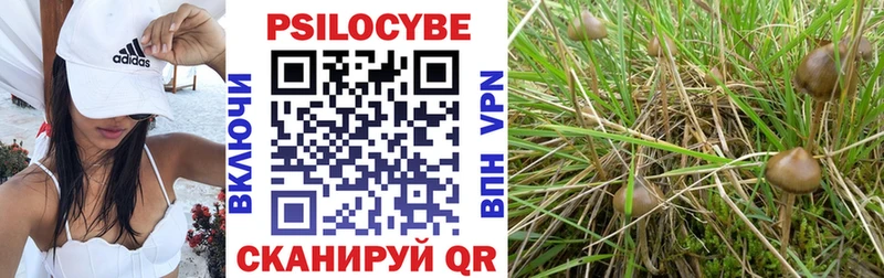 Псилоцибиновые грибы Magic Shrooms Омск